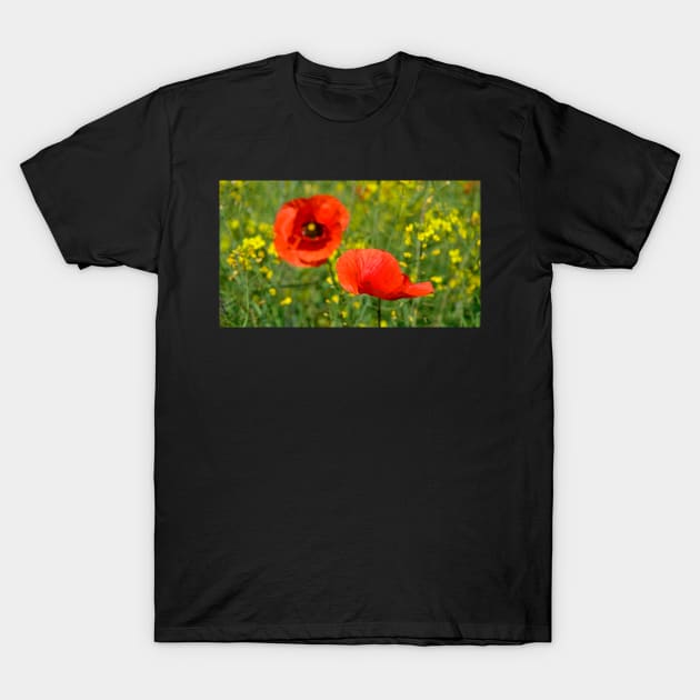 Wild Red Poppies T-Shirt by jojobob